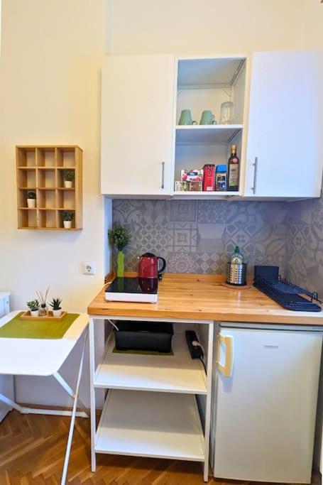 Cozy Ensuite Room In Zagreb Center Экстерьер фото